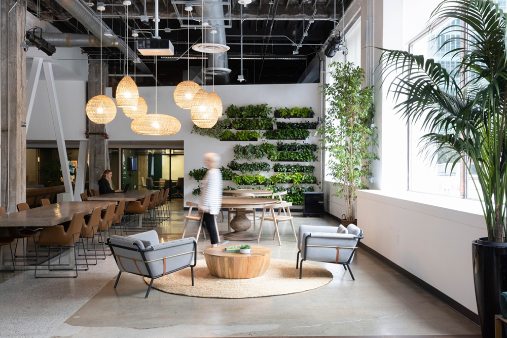 IDF Studio 的视频通信公司办公室