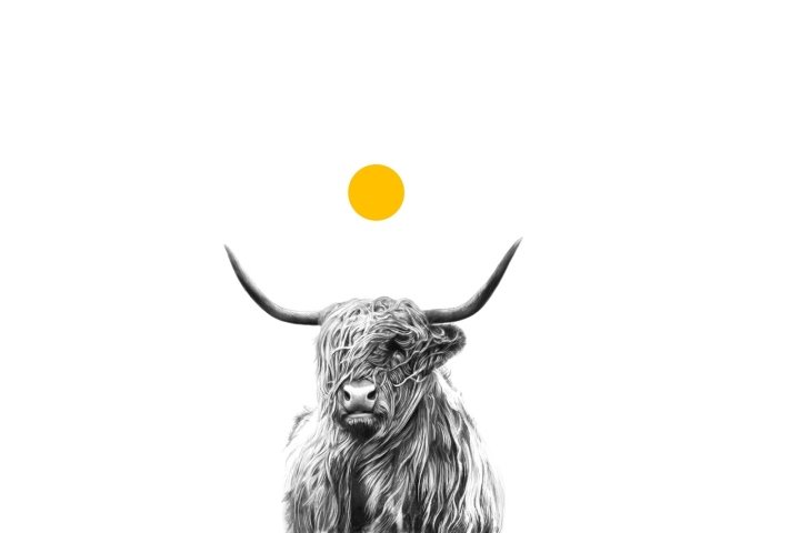 Vigneti Radica 包装由 Spazio Di Paolo 设计