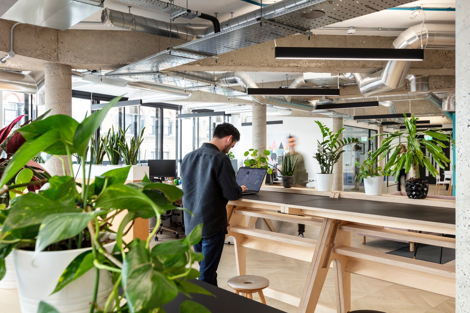 Vungle – ThirdWay 室内设计 Vungle – ThirdWay 室内设计