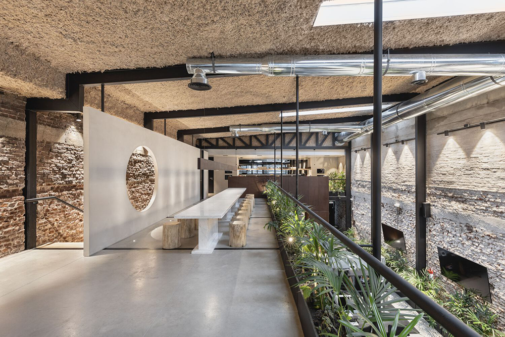 Wild Fi 办公室 / TIMB Arquitectura