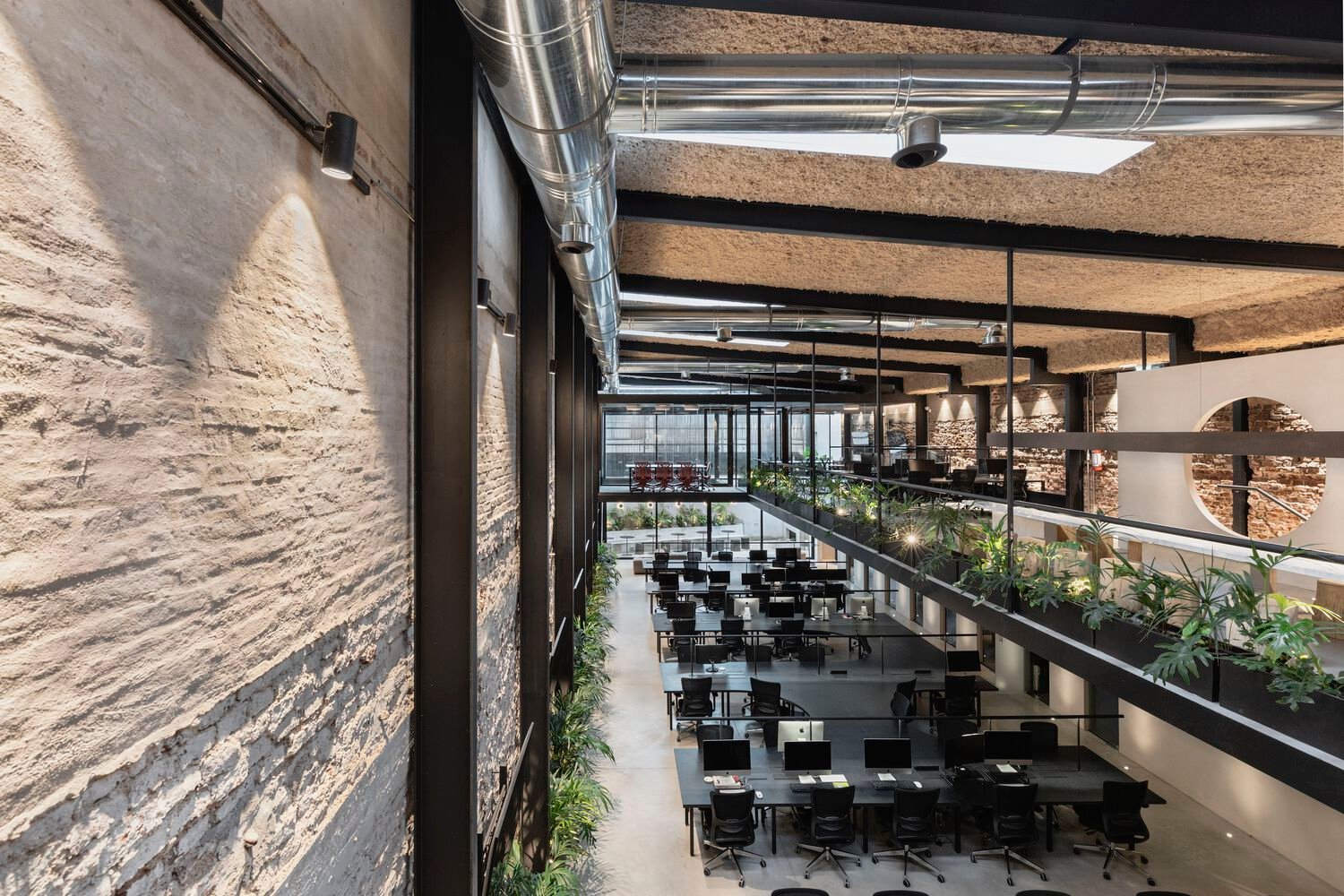 Wild Fi 办公室 / TIMB Arquitectura