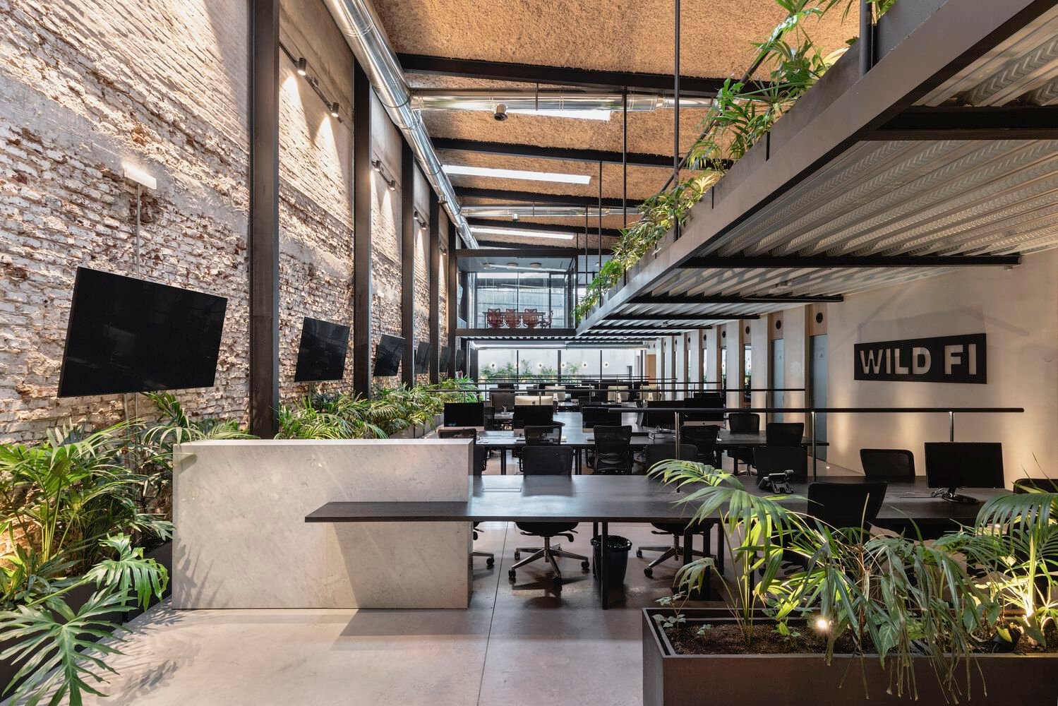 Wild Fi 办公室 / TIMB Arquitectura