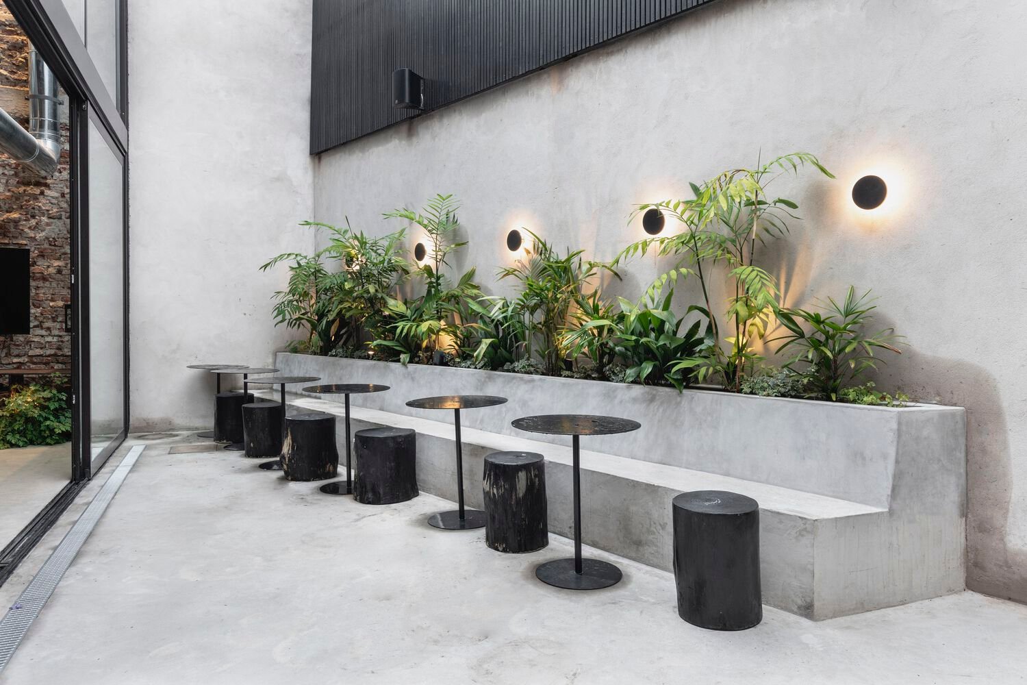 Wild Fi 办公室 / TIMB Arquitectura