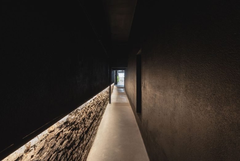 Wild Fi 办公室 / TIMB Arquitectura