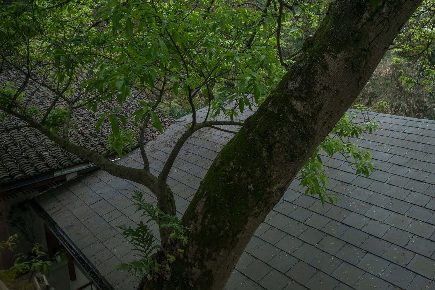 Yuanmen Primary School Renovation by JiuQiHuaXia Atelier KAI + SILOxDESIGN