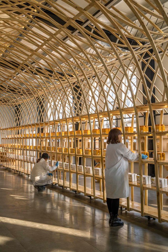 云台冰菊展示架 by LUO studio 云台冰菊展示架 by LUO studio