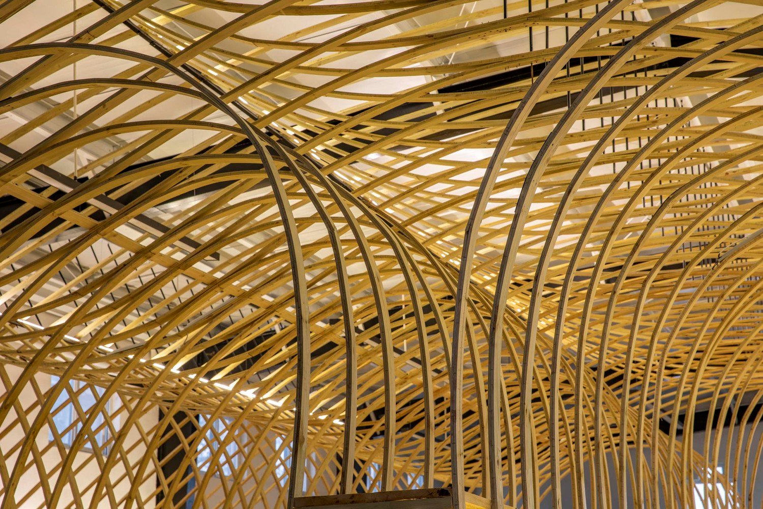 云台冰菊展示架 by LUO studio 云台冰菊展示架 by LUO studio