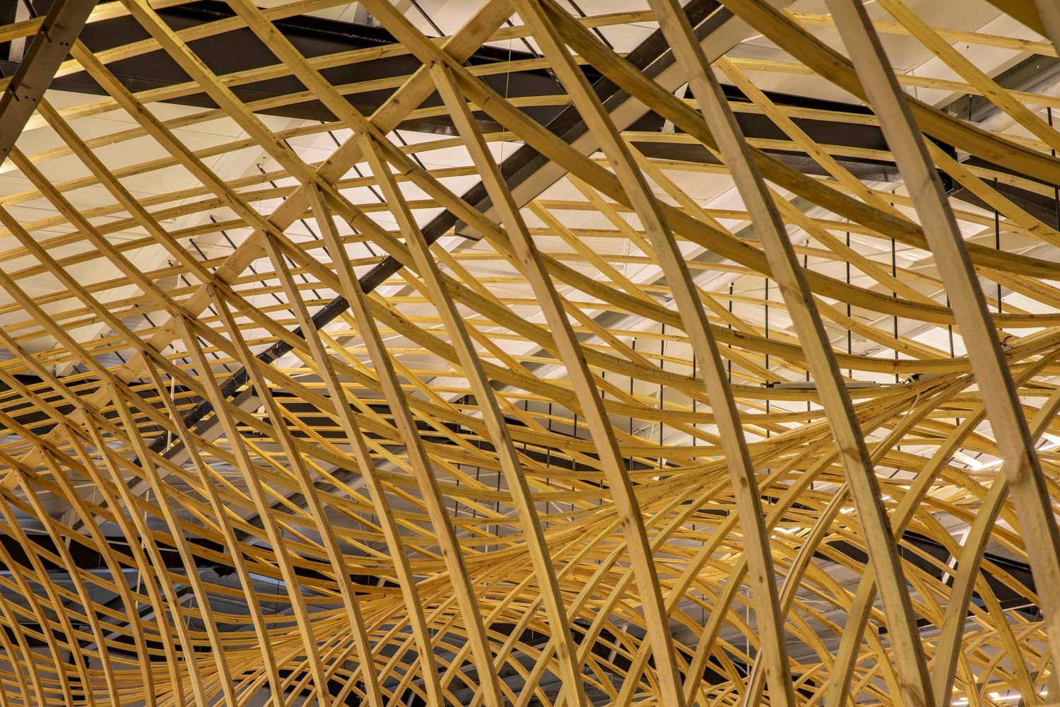 云台冰菊展示架 by LUO studio 云台冰菊展示架 by LUO studio