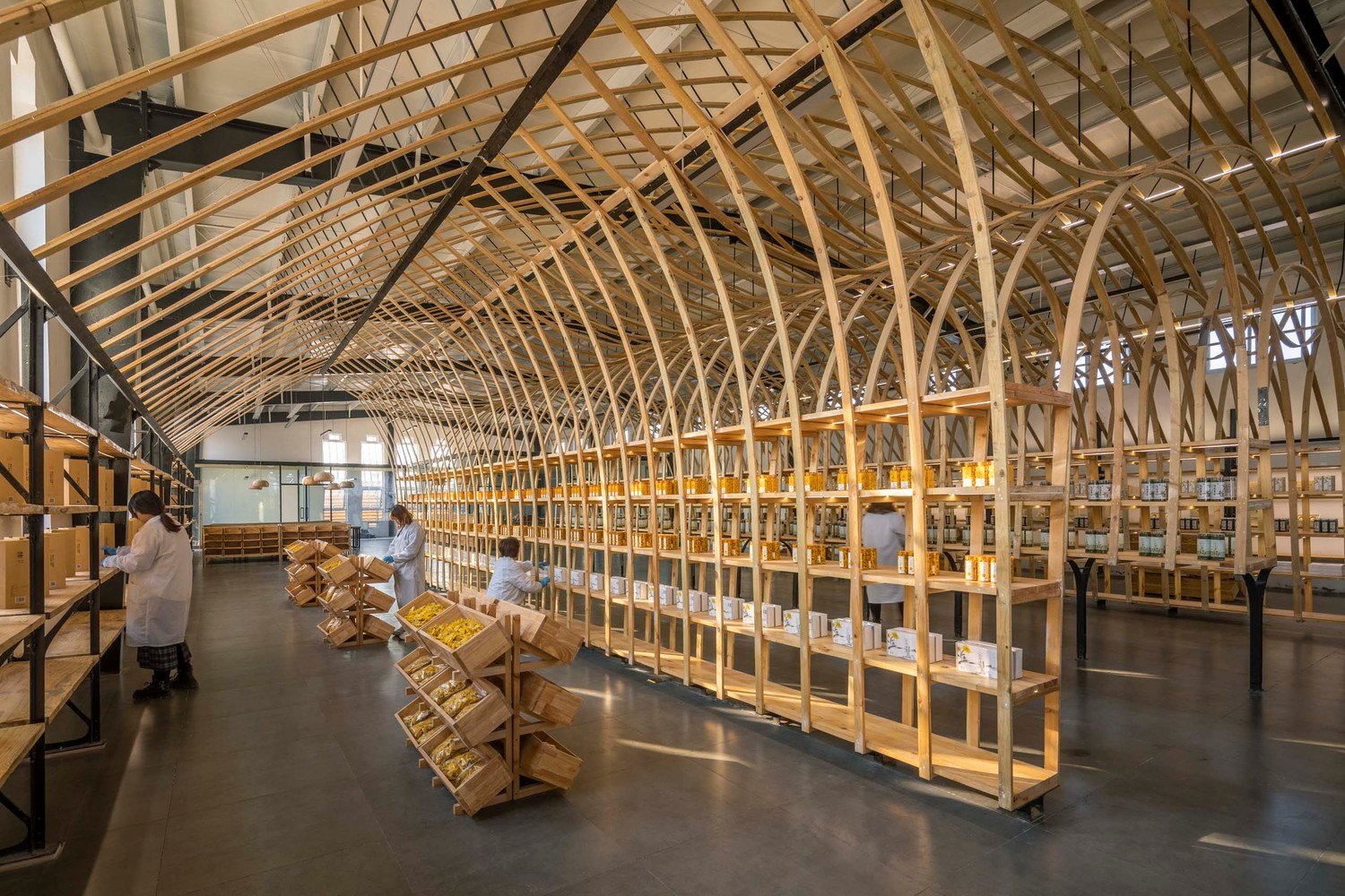 云台冰菊展示架 by LUO studio 云台冰菊展示架 by LUO studio