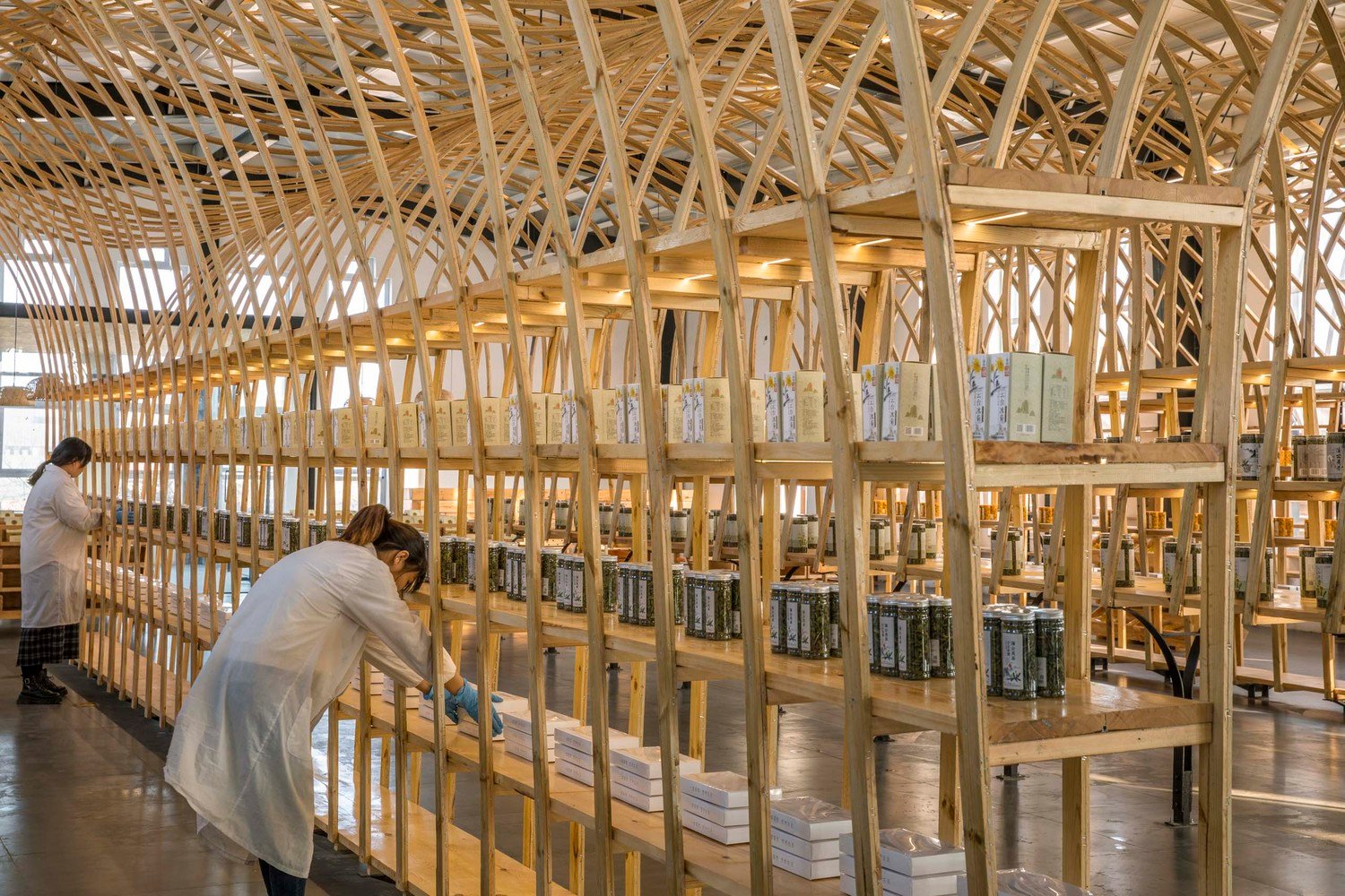 云台冰菊展示架 by LUO studio 云台冰菊展示架 by LUO studio