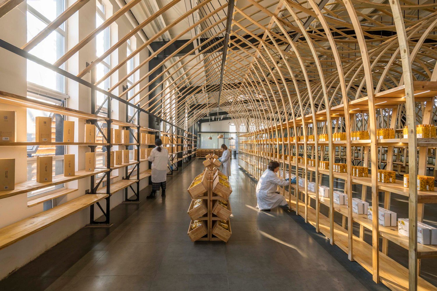 云台冰菊展示架 by LUO studio 云台冰菊展示架 by LUO studio