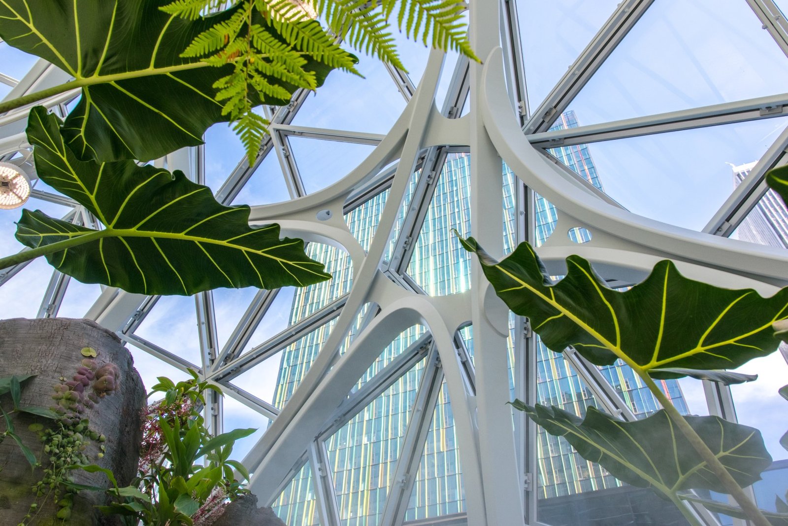 亚马逊公司总部，西雅图