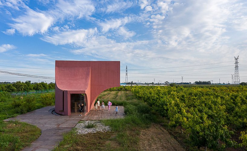 xi 工作室建造了雕塑般的“桃小屋”亭作为中国农村社区中心的一部分