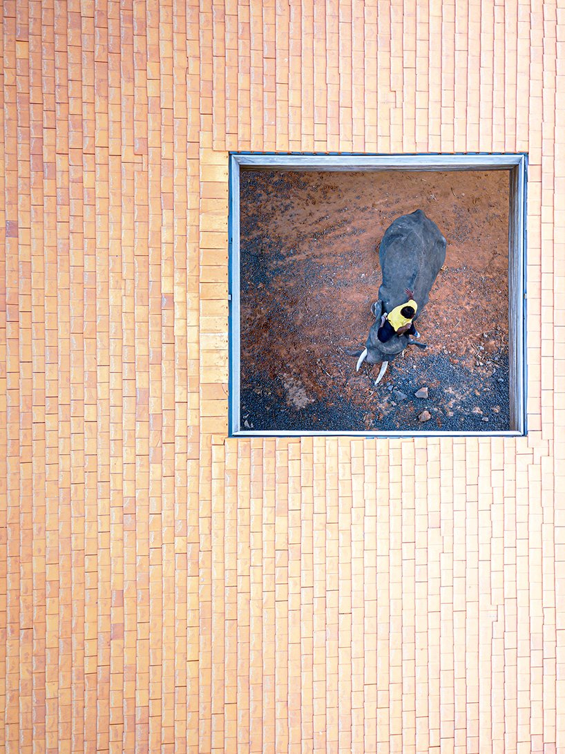 曼谷项目工作室为泰国大象和人类创建“文化庭院”