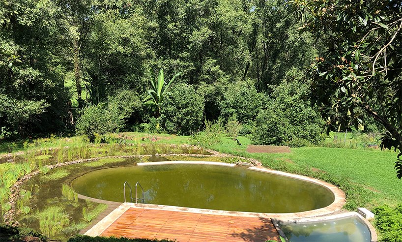 在墨西哥 a-001 设计的“casa ocoxal”内与大自然一起生活