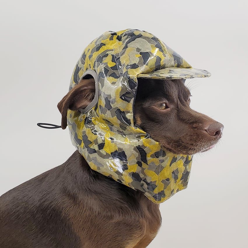 rajeev basu 制作豪华软垫头盔供狗狗睡觉