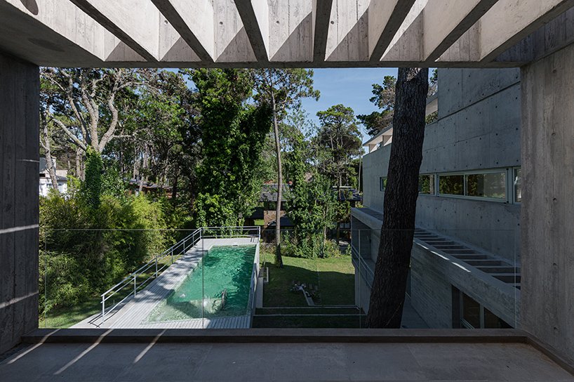 estudio galera 的“casa jacaranda”是一组不断生长和扩张的混凝土盒子 estudio galera 的“casa jacaranda”是一组不断生长和扩张的混凝土盒子