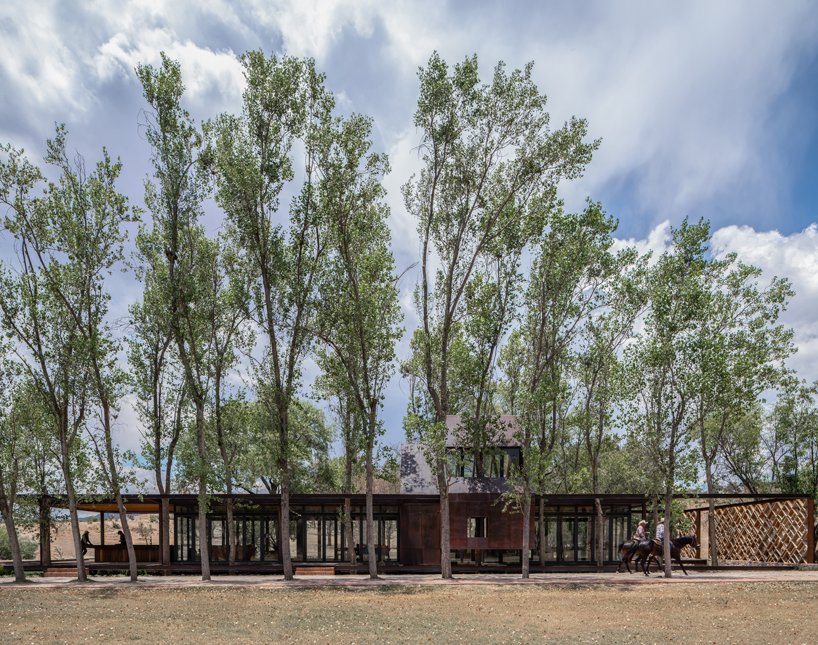 墨西哥乡村的“露台”由树干填充,由 fabian m escalante h 设计 墨西哥乡村的“露台”由树干填充,由 fabian m escalante h 设计