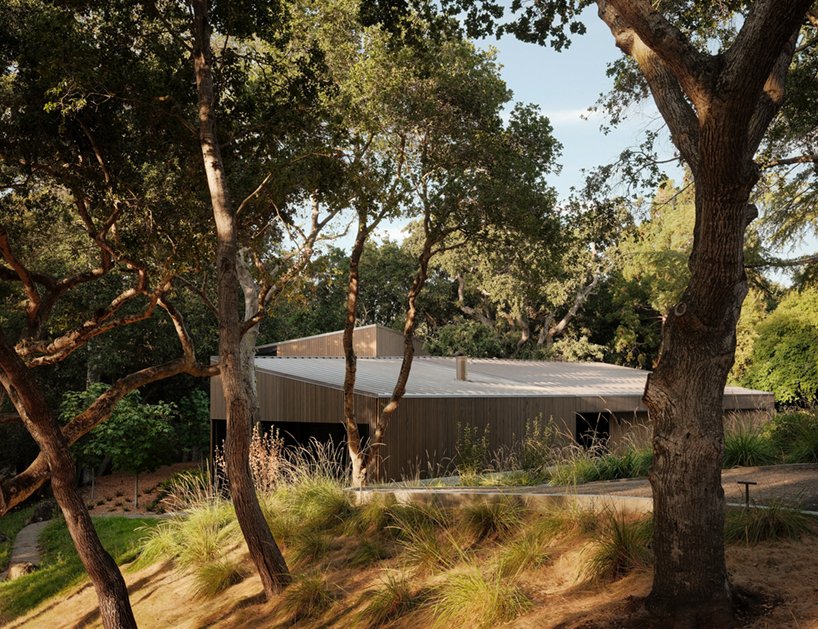 现场建筑将其黎明岭房屋分开,以容纳现有的橡树 现场建筑将其黎明岭房屋分开,以容纳现有的橡树