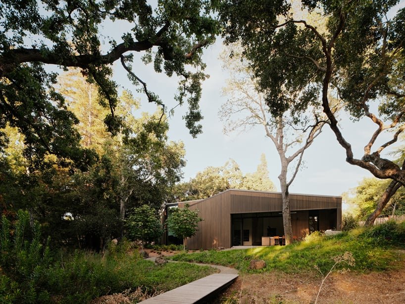 现场建筑将其黎明岭房屋分开,以容纳现有的橡树 现场建筑将其黎明岭房屋分开,以容纳现有的橡树