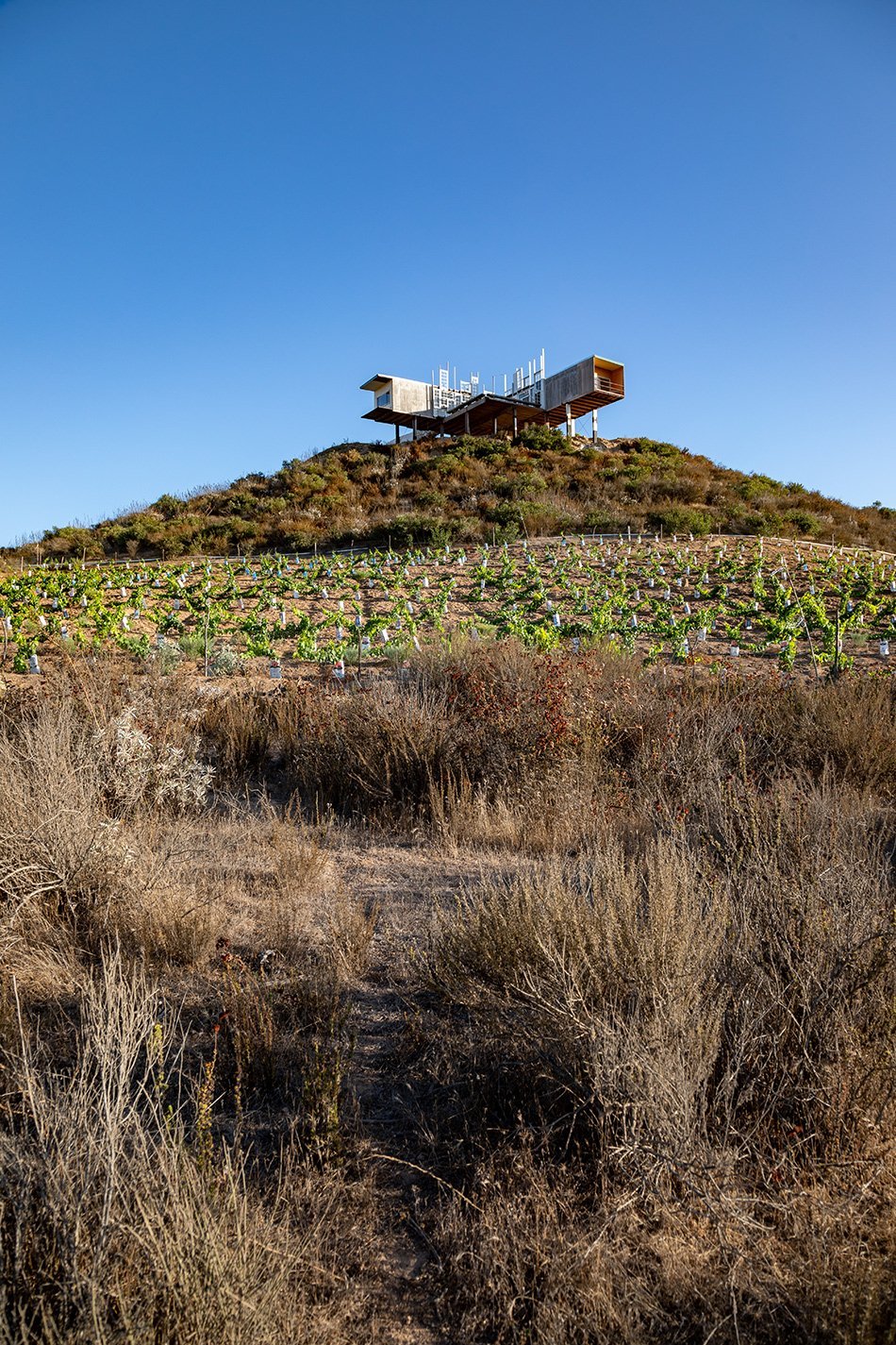 alejandro d'acosta 将 casa elias 建造为“观察和研究景观的站”