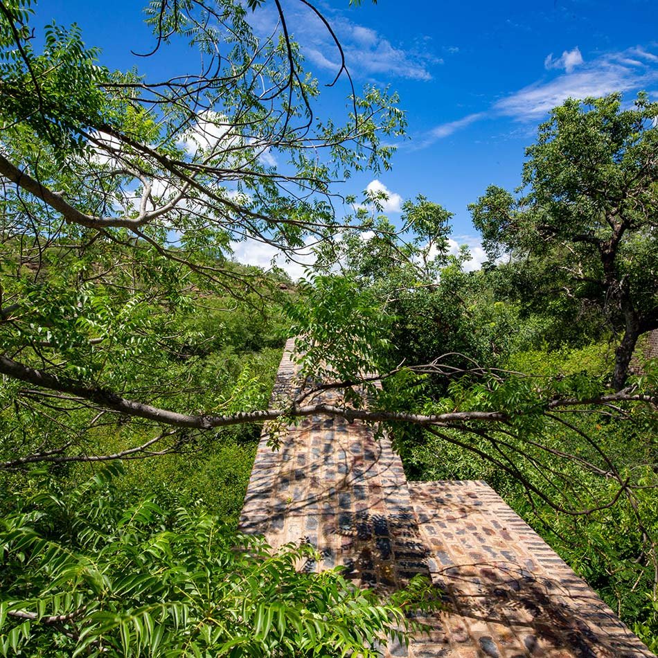 弗兰基·帕帕斯在南非自然保护区内隐藏了离网砖房