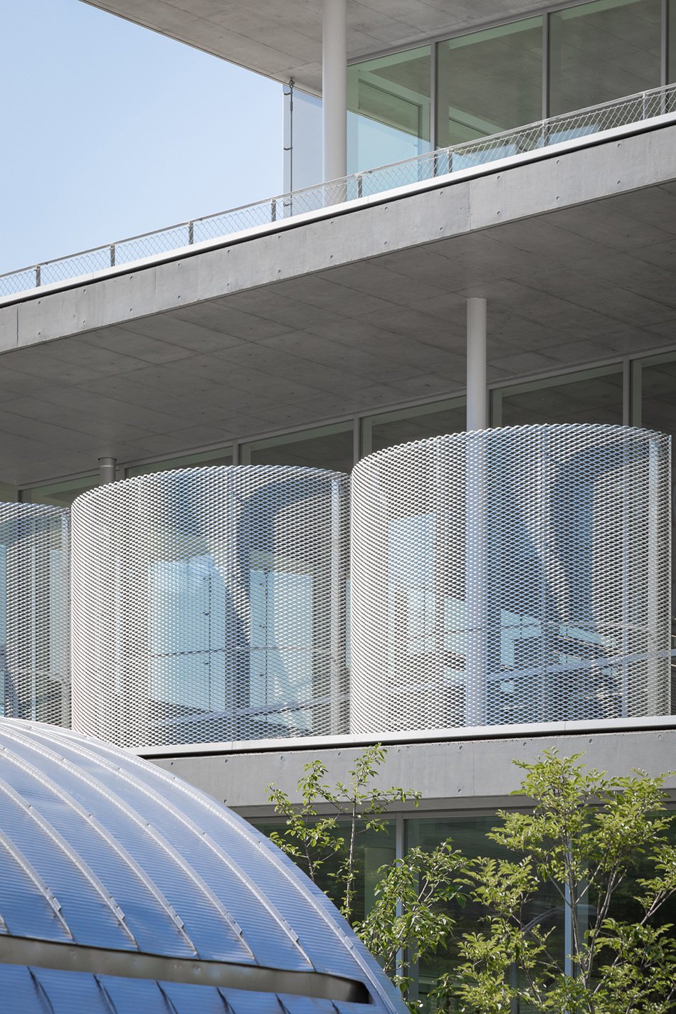 妹岛和世设计的日本女子大学图书馆 摄影：vincent hecht