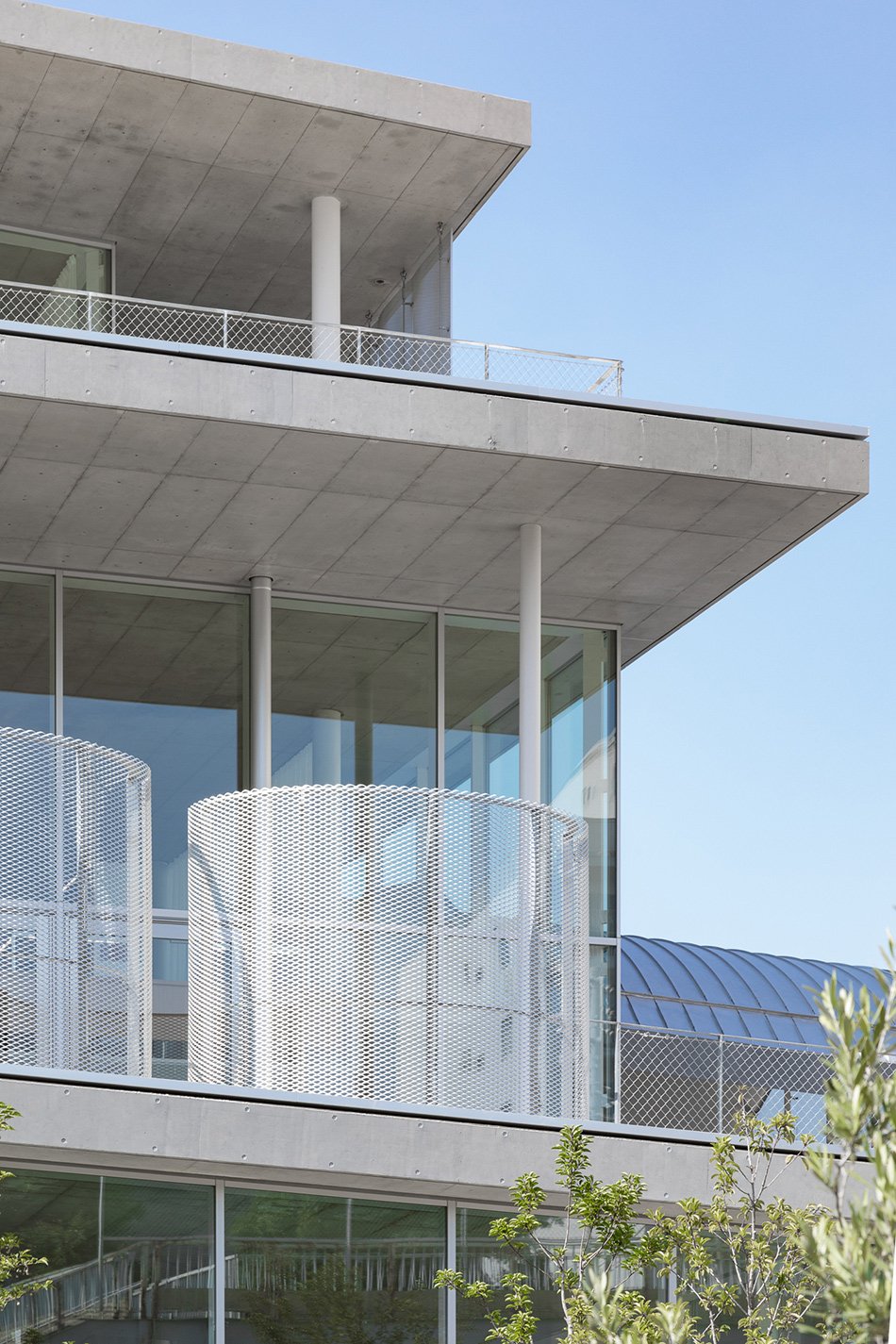 妹岛和世设计的日本女子大学图书馆 摄影：vincent hecht