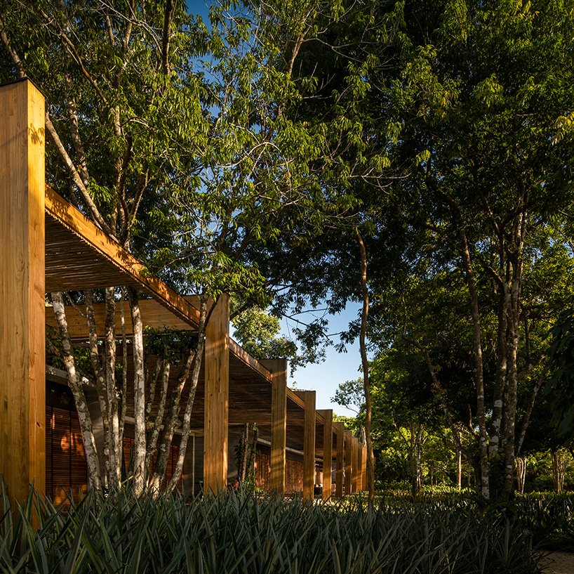 MK27 工作室在巴西东北部的热带海岸线隐藏了“沙屋” MK27 工作室在巴西东北部的热带海岸线隐藏了“沙屋”