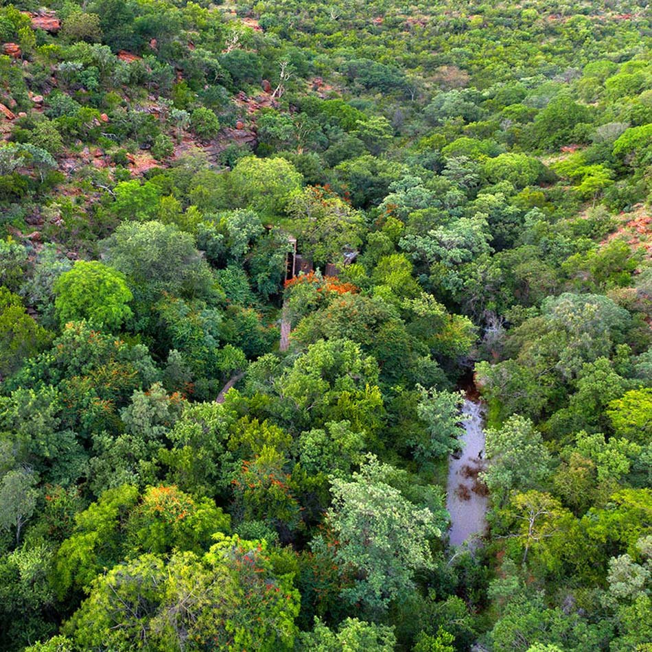 弗兰基·帕帕斯在南非自然保护区内隐藏了离网砖房