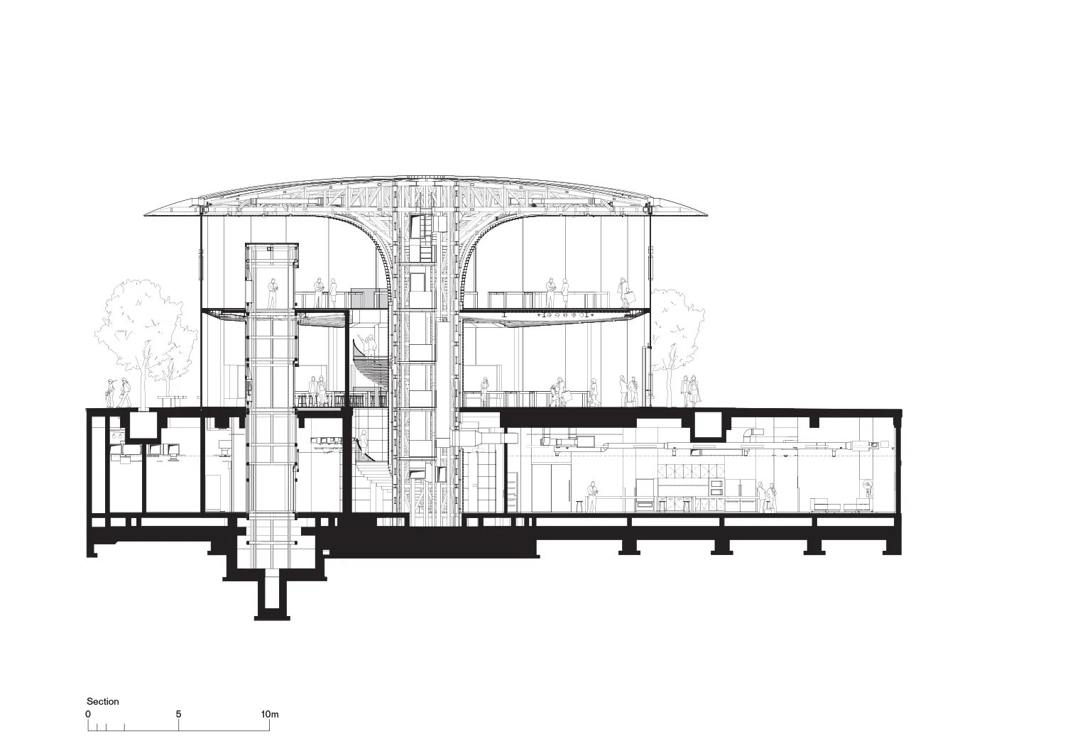 曼谷的“苹果中心世界”坐落在悬臂树冠下