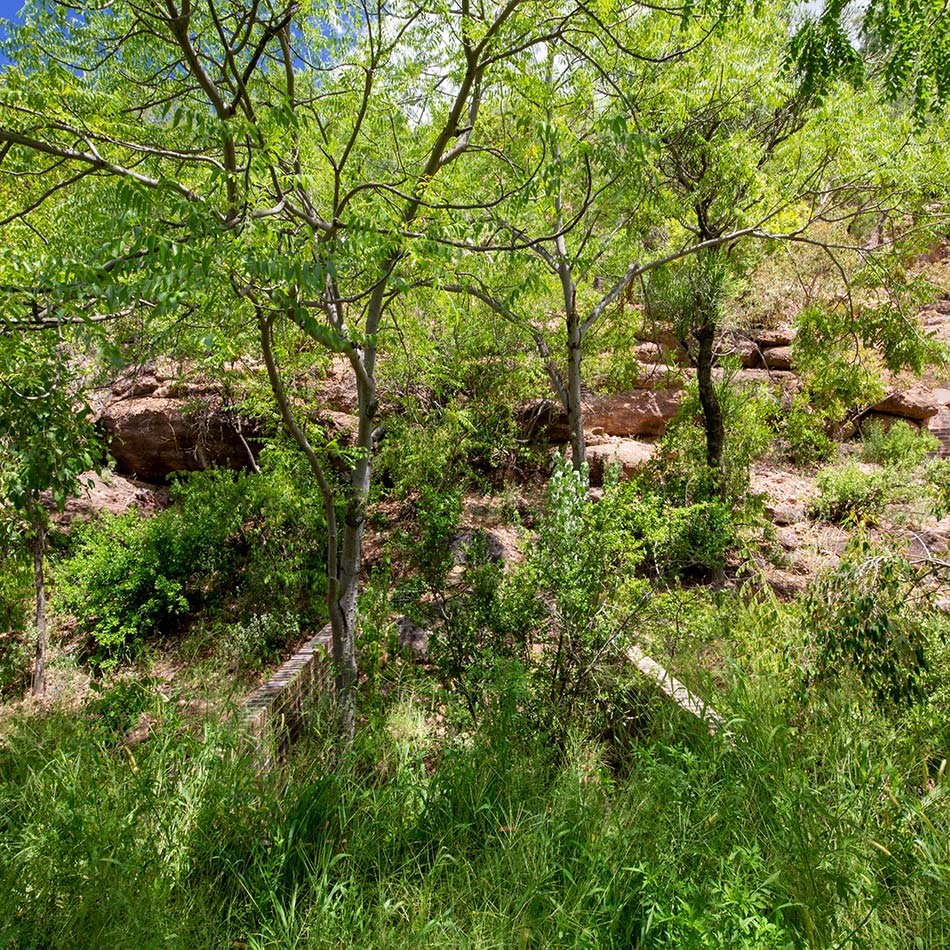 弗兰基·帕帕斯在南非自然保护区内隐藏了离网砖房