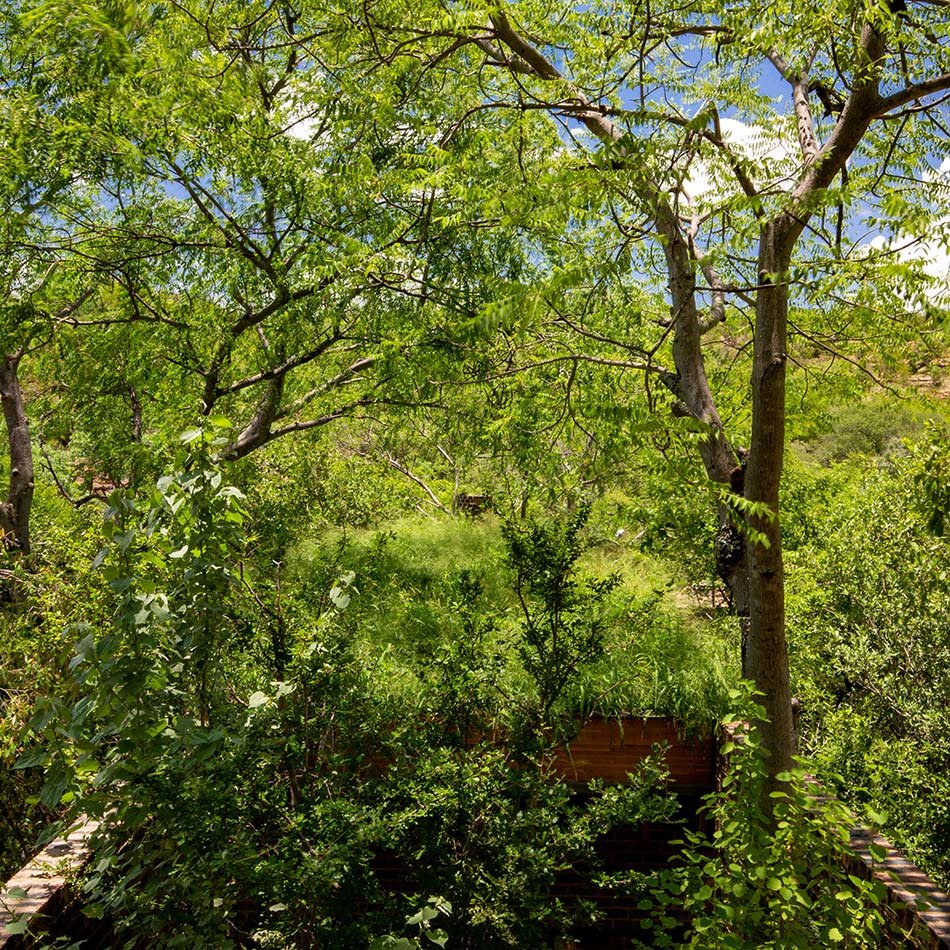 弗兰基·帕帕斯在南非自然保护区内隐藏了离网砖房