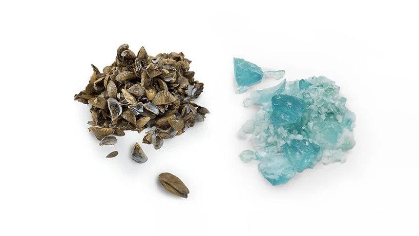 学生们利用入侵物种贻贝制作美丽的蓝色玻璃