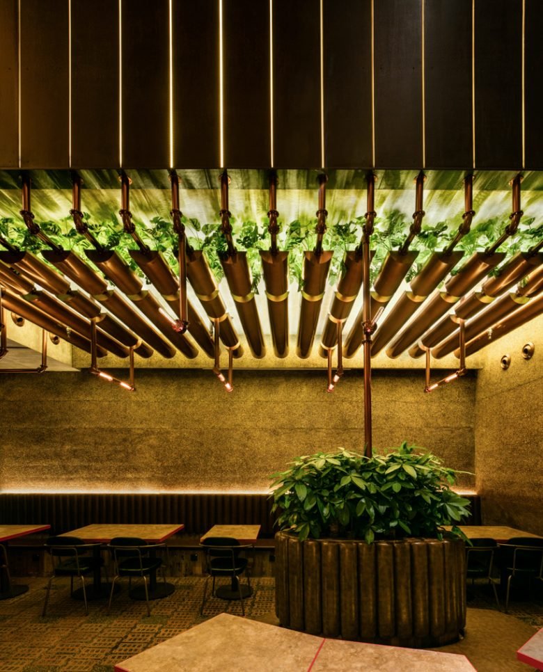 拳猫啤酒新天地旗舰店