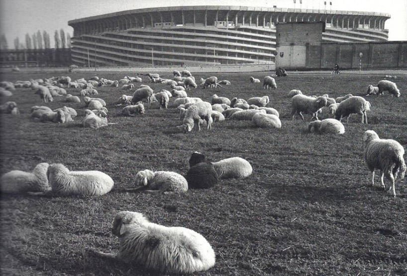 米兰的圣西罗体育场被想象为一座树木繁茂的纪念碑，纪念 COVID-19 的受害者