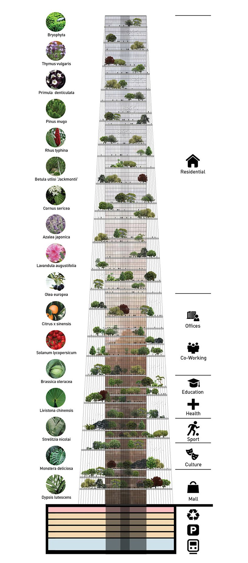 lissoni casal ribeiro 为纽约市提出了一个带有巨大平台花园的摩天大楼生态系统