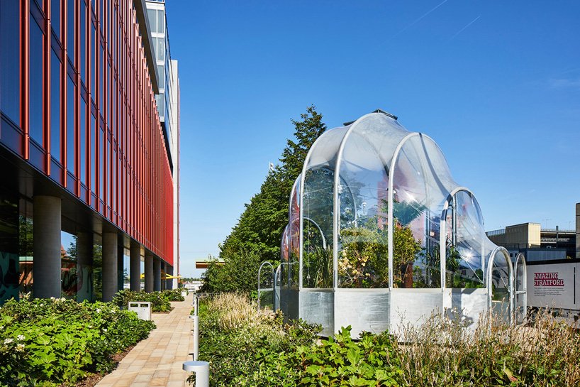 伦敦 studio weave 的小温室里生长着热带物种的可食用丛林