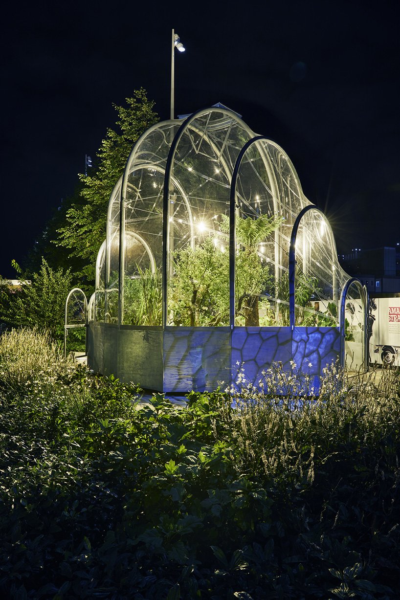 伦敦 studio weave 的小温室里生长着热带物种的可食用丛林