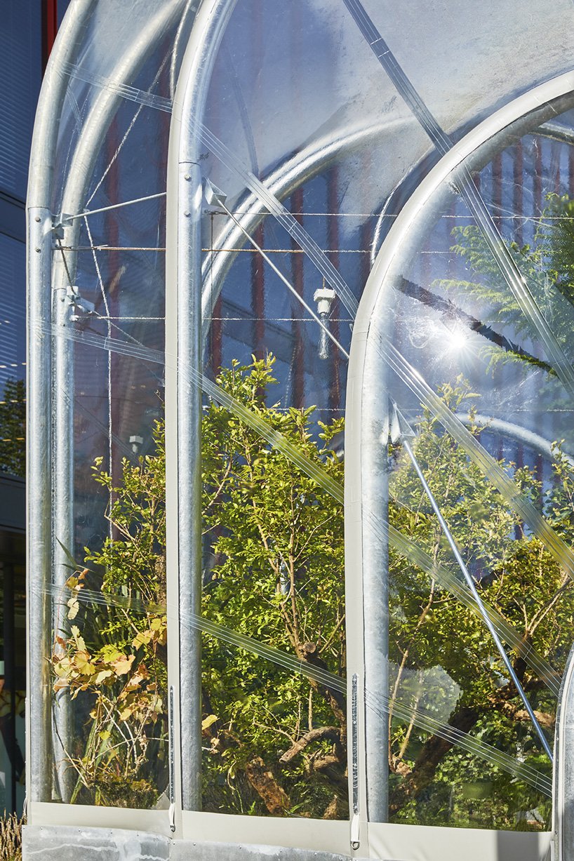 伦敦 studio weave 的小温室里生长着热带物种的可食用丛林