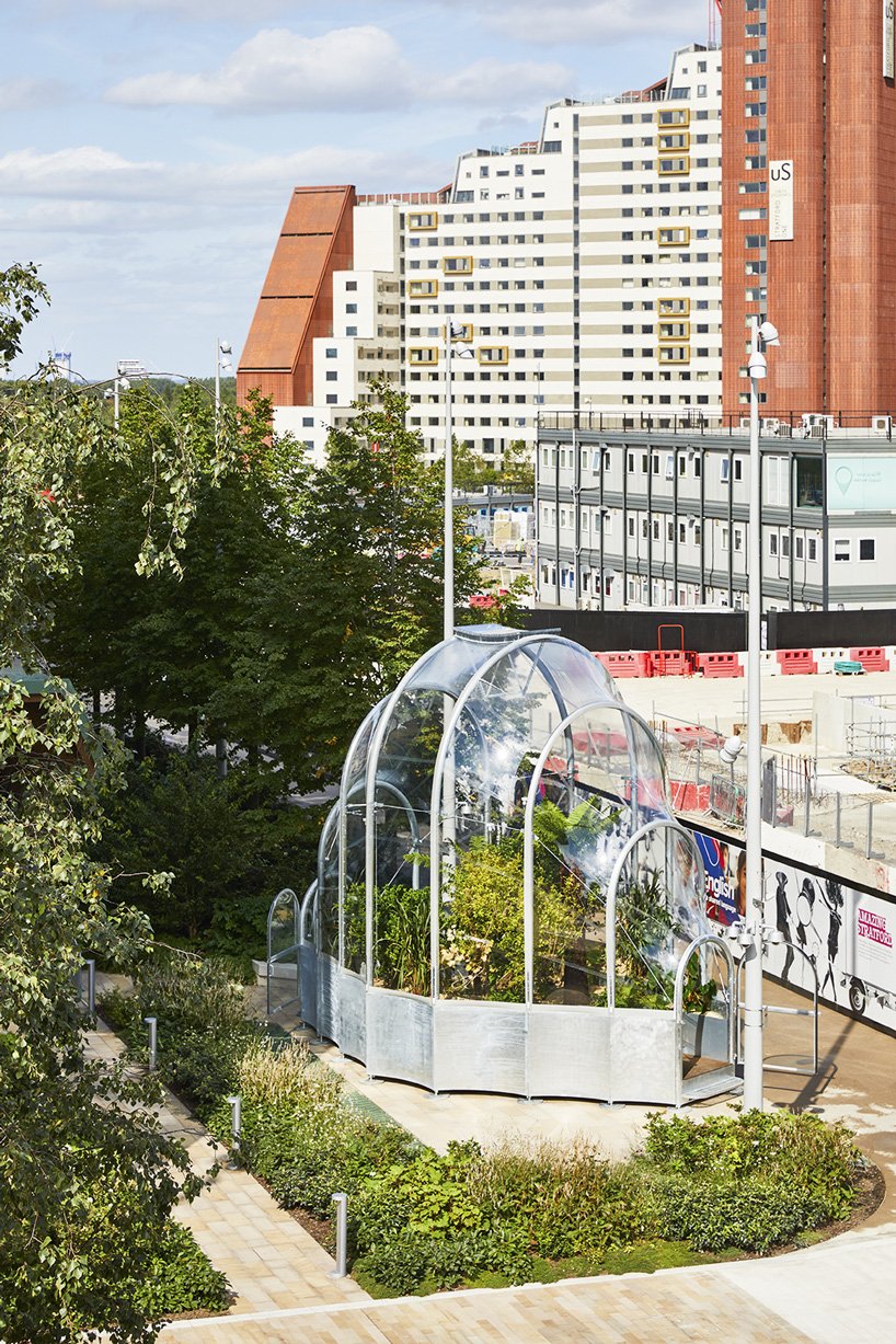 伦敦 studio weave 的小温室里生长着热带物种的可食用丛林