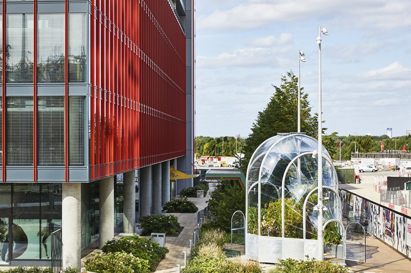 伦敦 studio weave 的小温室里生长着热带物种的可食用丛林