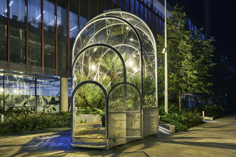 伦敦 studio weave 的小温室里生长着热带物种的可食用丛林