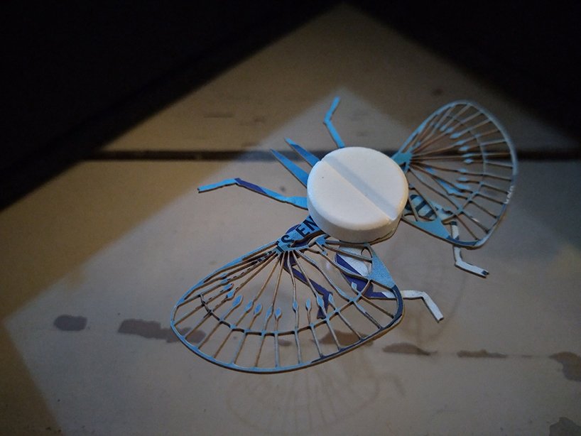 梅雷尔·斯洛瑟尔（merel slootheer）制作的复杂的纸昆虫运送处方药