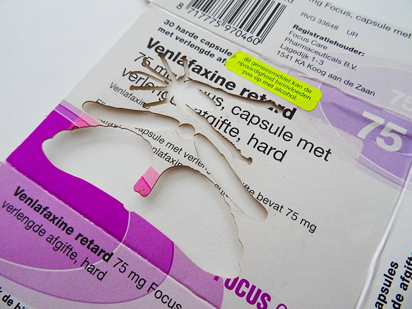 梅雷尔·斯洛瑟尔（merel slootheer）制作的复杂的纸昆虫运送处方药