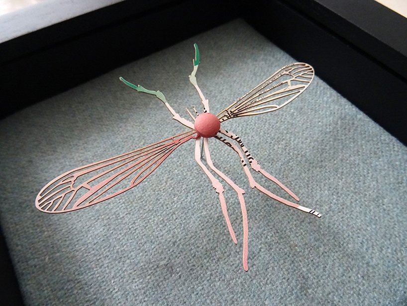 梅雷尔·斯洛瑟尔（merel slootheer）制作的复杂的纸昆虫运送处方药