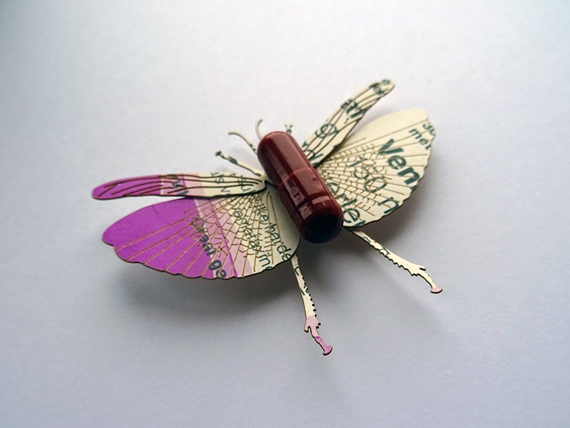 梅雷尔·斯洛瑟尔（merel slootheer）制作的复杂的纸昆虫运送处方药