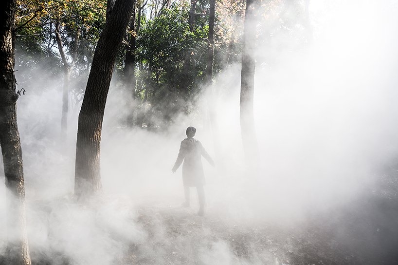 曾玲丽的寻找发光装置点亮了台湾的迷雾森林