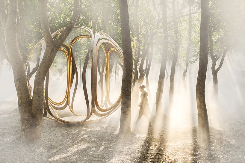 曾玲丽的寻找发光装置点亮了台湾的迷雾森林