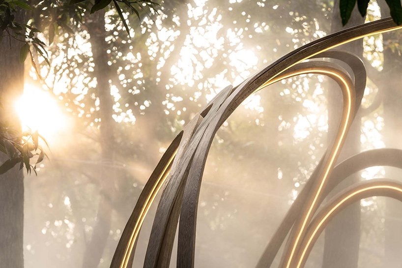 曾玲丽的寻找发光装置点亮了台湾的迷雾森林